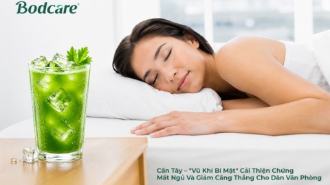 Cần Tây – "Vũ Khí Bí Mật" Cải Thiện Chứng Mất Ngủ Và Giảm Căng Thẳng Cho Dân Văn Phòng