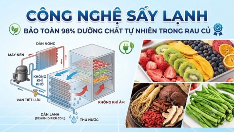 Công Nghệ Sấy Lạnh Là Gì? Bí Quyết Trong Bột Rau Củ Bodcare